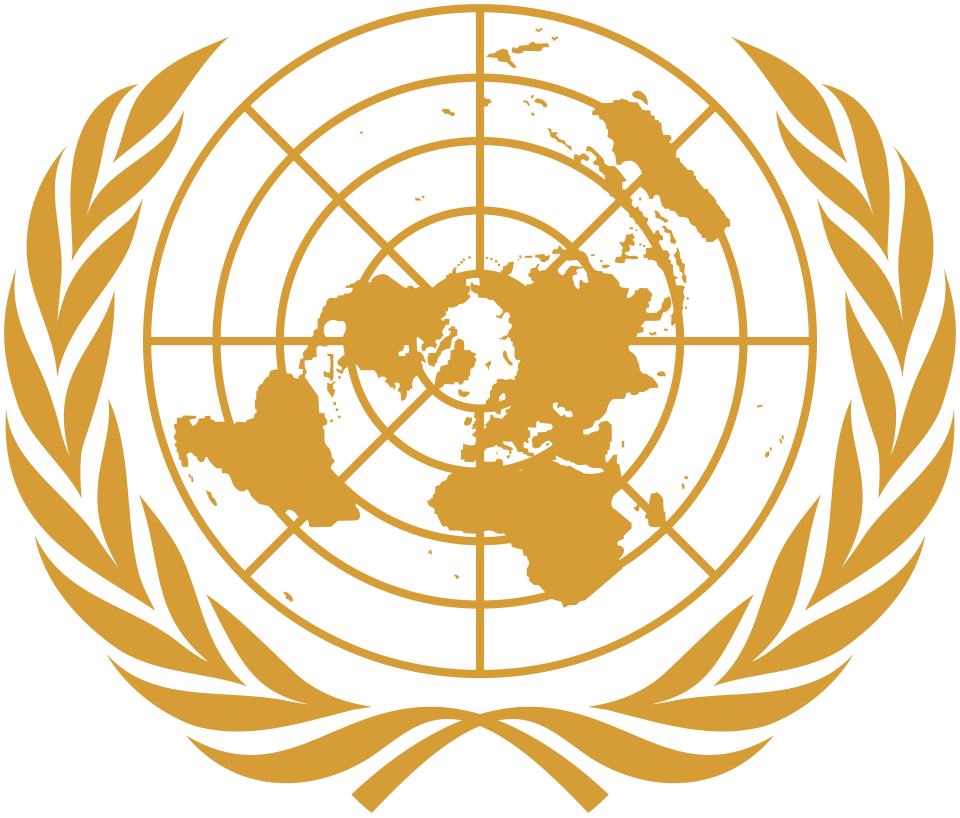 Organisation des Nations Unies